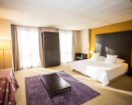 Hotel Fortyfive Hotels in Chivasso