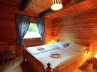 Detached Holiday Residence in the Wonderfully Beautiful Harz Hotels near Lidl