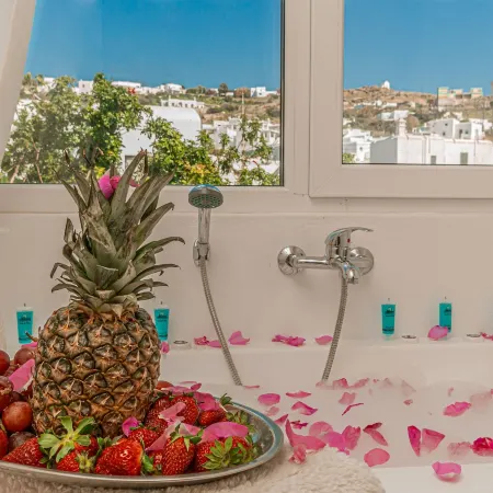 Dimelal Mikonos Downtown Apartments