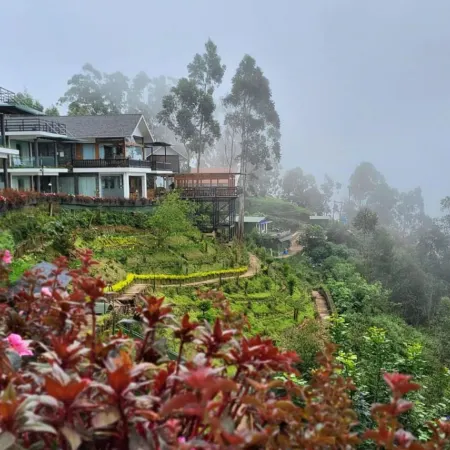 Chandys Drizzle Drops - Munnar Top Station