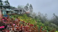Chandys Drizzle Drops - Munnar Top Station - Mountain view