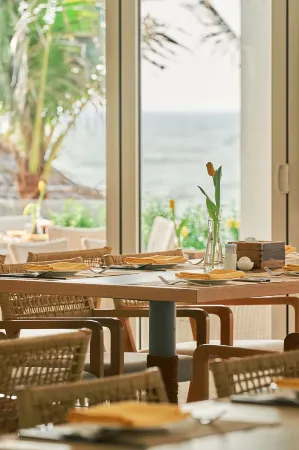 Fleur de Lys Resort & Spa Long Hai Отели рядом с достопримечательностью «MÀU Camping - Cắm Trại Hồ Cốc»