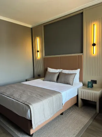Dalaman Airport Lykia Thermal & Spa Hotel