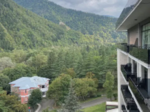 Borjomi Likani Health & Spa Centre Hotels in Borjomi