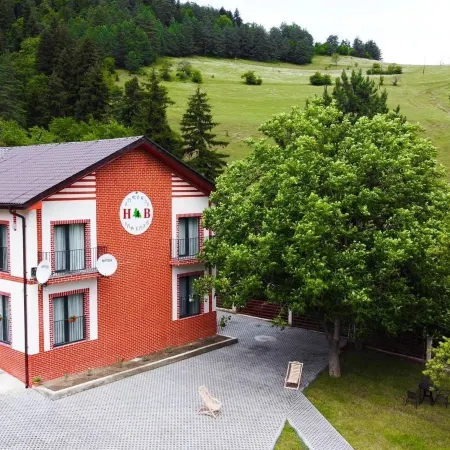Holiday Borjomi