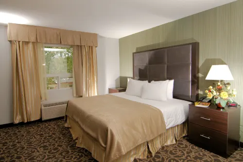 Paradise Inn and Suites Redwater Hotels in Redwater