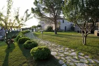 Masseria Olivola - Bed and Breakfasts