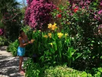 Zeytinada Hotel Hotels in Torba