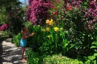 Zeytinada Hotel Hotels in Torba