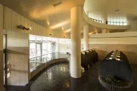 Hotel Areaone Hiroshima Wing - spa