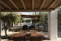 Ikies of Mykonos