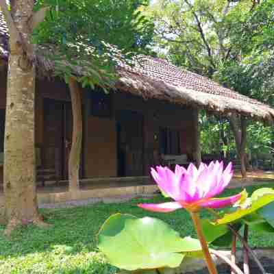Ama Villa Homestay Hotel Exterior