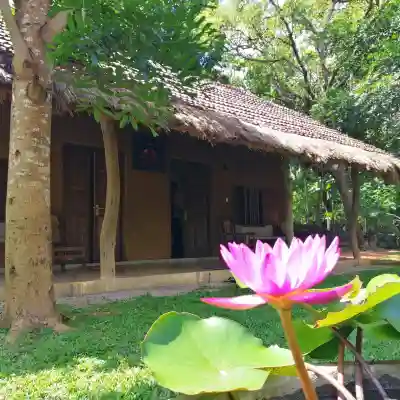 Ama Villa Homestay Hotel Exterior