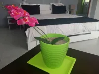 The Sanctuary Hotels in 