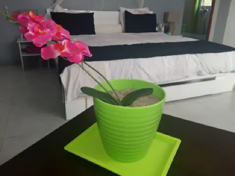 The Sanctuary Hotels in 