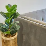 Host & Stay | Apartment Two, Hudsons Yard House - Homestays