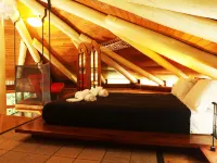 Daintree Cascades Hotels in Daintree