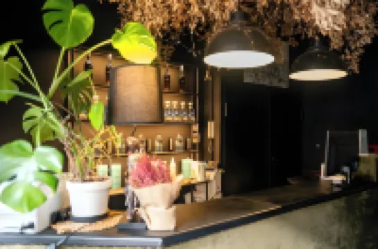 Hotel Ramblas Internacional