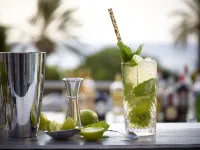 Amus Hotel & Spa - bar