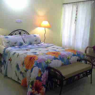 Elegant Shades Rooms