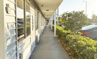 Lantern Inn & Suites - Sarasota