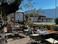 Seehotel Riviera Hotels in Gersau