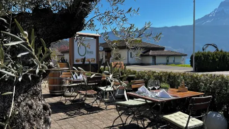 Seehotel Riviera at Lake Lucerne Отели рядом с достопримечательностью «cereneo AG»