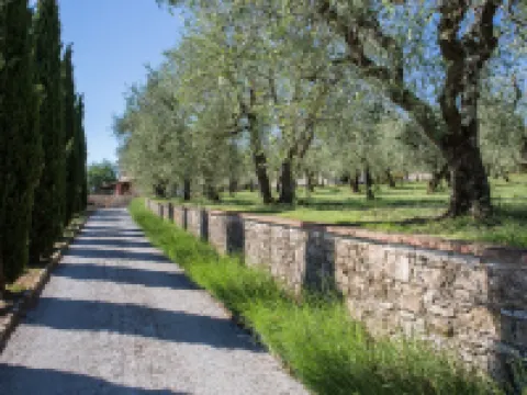 Agriturismo Borghetto Il Montino Hotels in Rapolano Terme