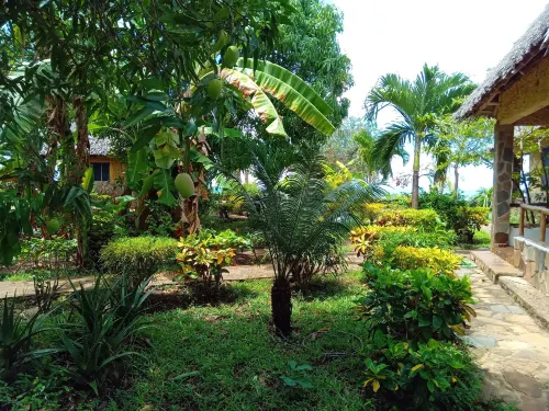 Mango Lodge Msambweni Hotels in Мсамбуэни