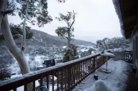 阿尼基滑雪旅館 - 山景