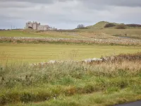 Host & Stay - Butterfly Lodge Hotels in Thirston