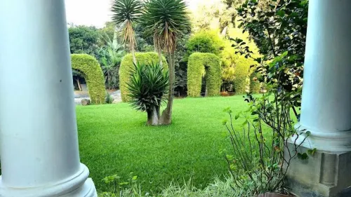 Hostal Casa Búho - Homestays