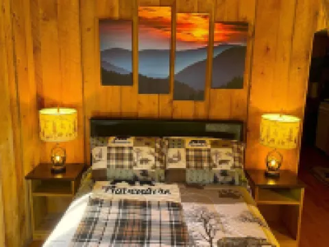 Cozy Cabin, private, romantic, wood stove, WiFi, mountains, NC マクドウェルのホテル