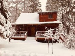 Canyon Cabin