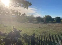 Cosy gîte in a privileged, peaceful setting with swimming pool