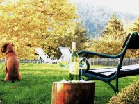 Vacation Apartment Zweisamkeit with Vine Arbor and Panoramic Garden in a Great Central Location