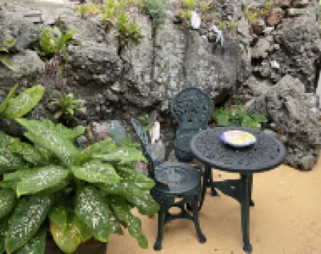 Tropical Orchid-Just for Two-Winter Storm Sale- Hot Tub