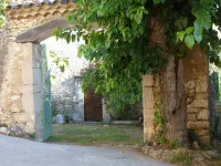 Village farmhouse with garden and terrace, quiet and authentic