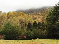 Zen Mountain Escape: Rivers, Nature, Wineries & Solitude