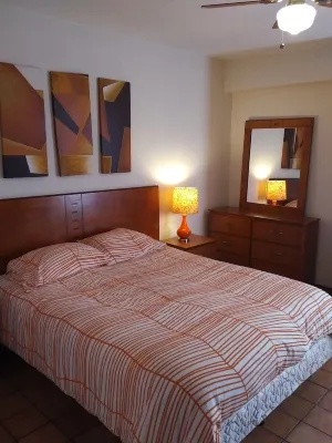 Spacious Condos and House- in Heart of Guadalajara