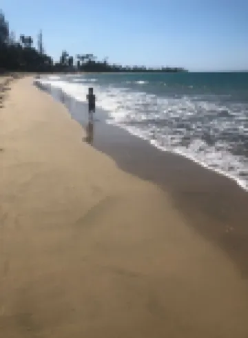 Lucky Luquillo's 100% Solar Blue Flag Beach & El Yunque Rainforest Retreat