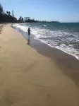 Lucky Luquillo's Safe, Solar Beach & Forest Retreat