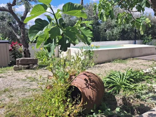 Remodeled Rustic House, with Terrace and Garden Hotels in Penamacor