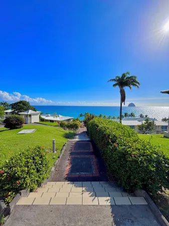 Le Joyau de la Cherry, studio