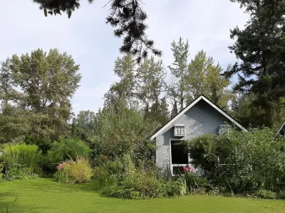Charming Creekside Cottage in Nature with Historic Roots Отели рядом с достопримечательностью «BX Creek & Falls Trail»