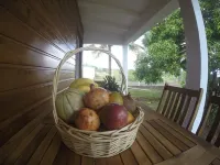 Villa Marga: pretty new Creole villa