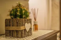 B&B 파나로 - 3성급