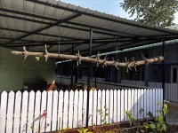 The Gulmohar Inn