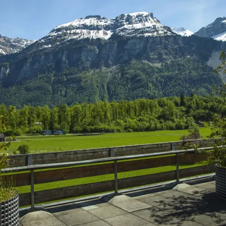 Hotel Alpenrose Beim Ballenberg