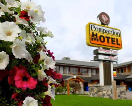 Companion Hotel Motel Hotels in Hearst